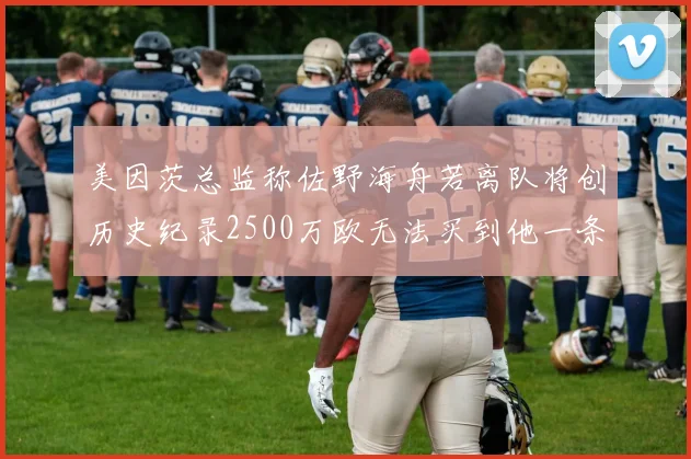 美因茨总监称佐野海舟若离队将创历史纪录2500万欧无法买到他一条腿