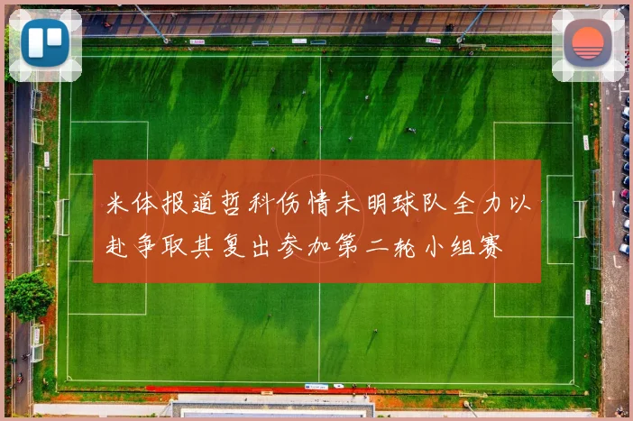 米体报道哲科伤情未明球队全力以赴争取其复出参加第二轮小组赛